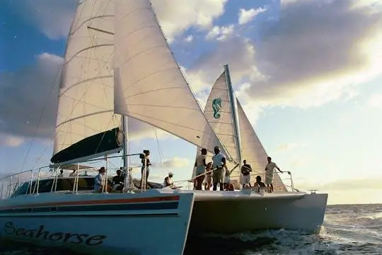 A white catamaran under full sail with passengers on deck, a second sailing catamaran just behind it