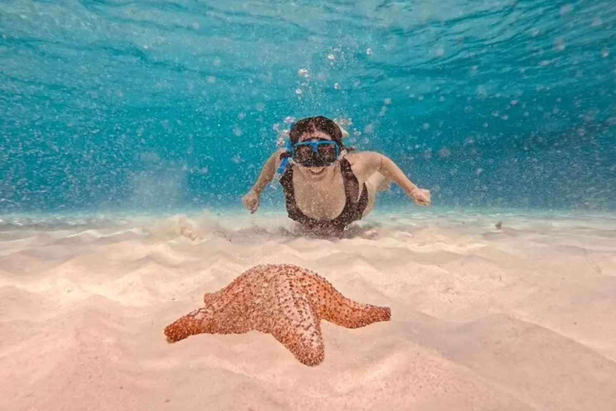 A snorkeler swimming toward the camera above white sand, with a large orange starfish on the seabed